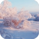 Winter Snow HD Wallpapers