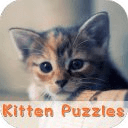 Kitten Puzzles Free