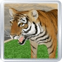 Virtual Pet 3D - Tiger