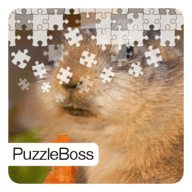 Cute Animal Jigsaw Puzzles