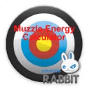 Muzzle Energy Calculator