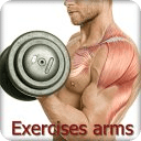 Exercises arms