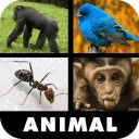 100 Words - Animal