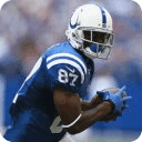 Reggie Wayne