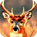 deer hunting 2014 reloaded