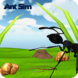 Ant Sim