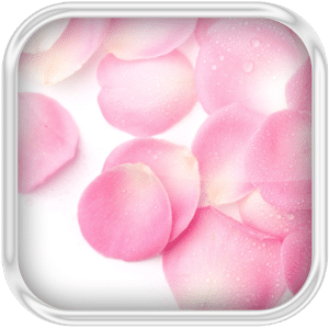 3D Petals Water Effect LWP