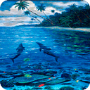 Dolphin Tropics Live Wallpaper