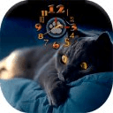 Kitten Clock