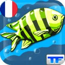 Quiz les Poissons