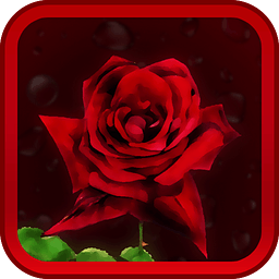Red Rose HD Live Wallpaper