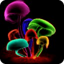 Amazing 3D Mushroom Free HD
