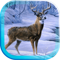 Winter Animals live wallpaper