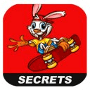 Skater Bunny Guide