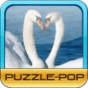 Puzzle-Pop: White Snow Swan