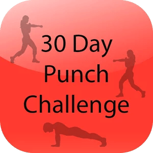 30 Day Punches Challenge