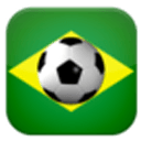 Brazilian Football League 2014