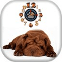 Shar Pei Clock