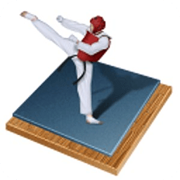 Taekwondo Bible