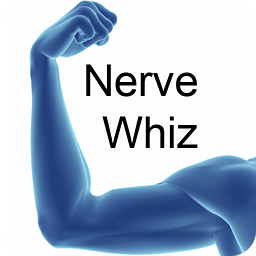 Nerve Whiz