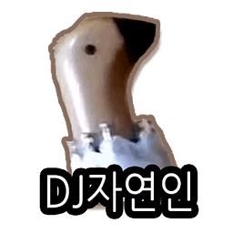 DJ자연인