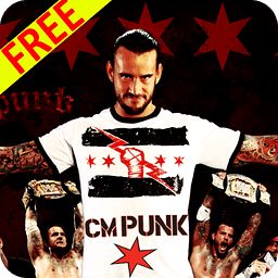 WWE SUPERSTAR CM PUNK