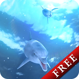 Dolphin Blue Ocean Trial