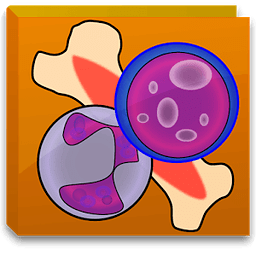 Bone Marrow Cell Counter