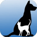 Cat and Dog Training Info