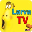 Larva TV HD Version