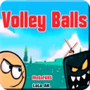 Volley Balls