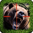 Bear Hunter Pro