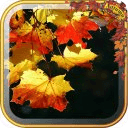 Beauty Autumn Live Wallpaper