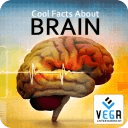 Cool Facts about Brain