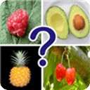 Guess Fruit Quiz