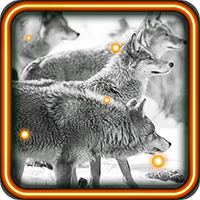 Wolf Free HQ live wallpaper