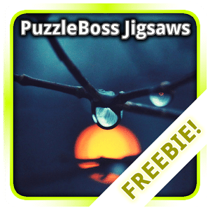 Raindrop Jigsaw Puzzles FREE