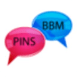 搜索BBM PIN码