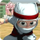 The White Clumsy Ninja