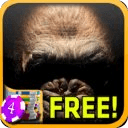 Creepy Ape Slots - Free