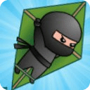 A Flappy Ninja vs Birds