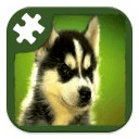 Dog Jigsaw Puzzle