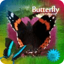 Tropical Exotic Butterfly LWP