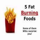 Fat Burning Food List