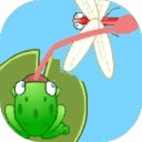 Puzzle Frog Dragon Fly Eater