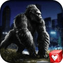 Kong City 3D