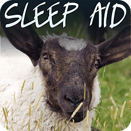 Sleep Aid Sheepy