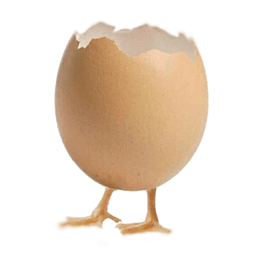 鸡蛋充电