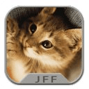 Funny Cats Puzzle &amp; Wallpapers