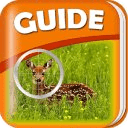 Deer Hunter Guides &amp; Tips